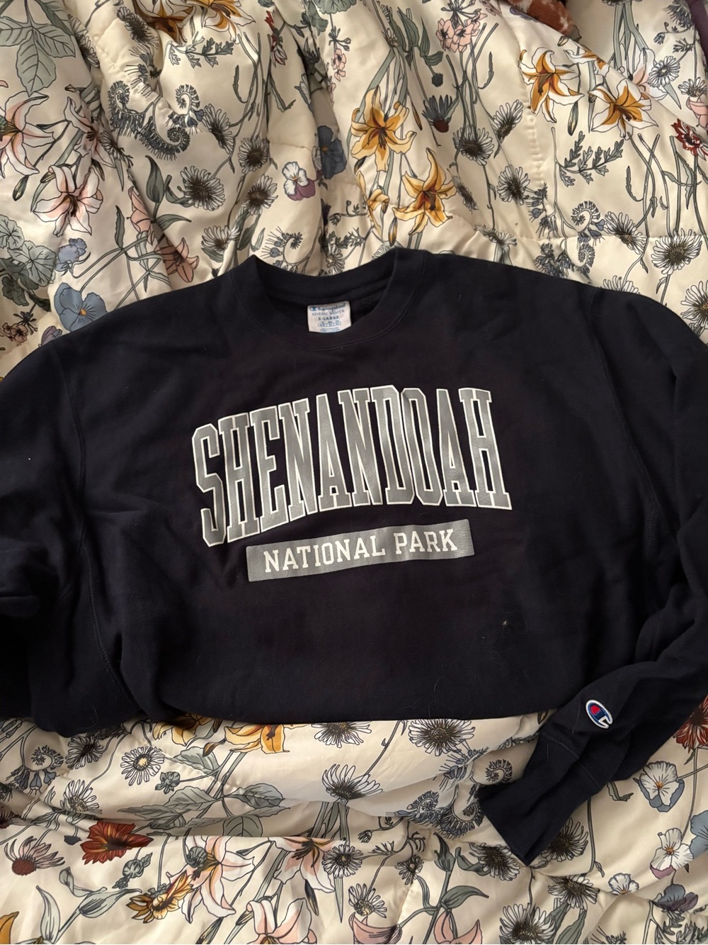 Champion Black Crewneck Sweatshirt with Blue Tag